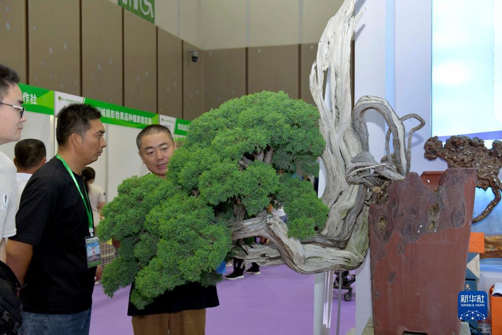 威尼斯网址503623不能玩